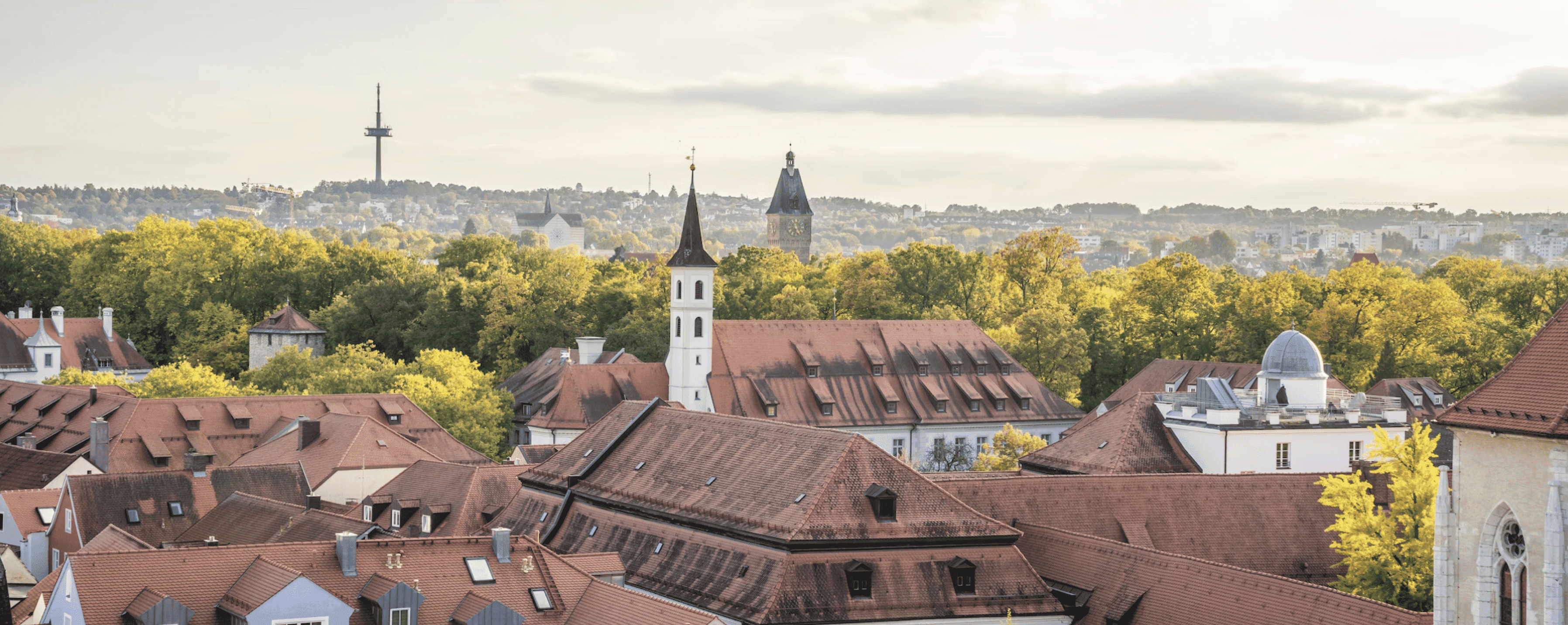 Dächer der Bilder Regensburg